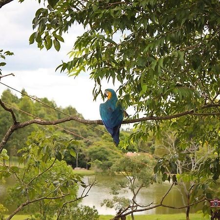Pousada Fazenda Buracao Mococa Ngoại thất bức ảnh