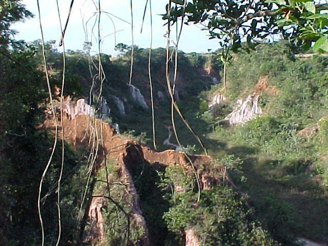 Pousada Fazenda Buracao Mococa Ngoại thất bức ảnh