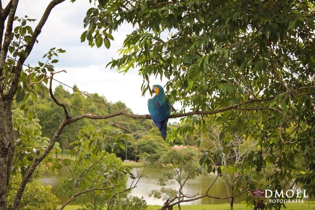 Pousada Fazenda Buracao Mococa Ngoại thất bức ảnh